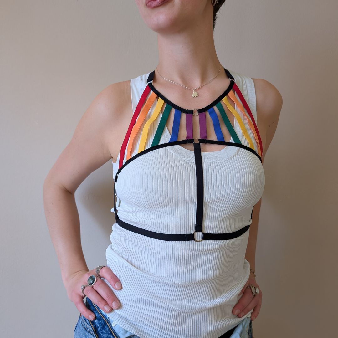Rainbow Flag Harness