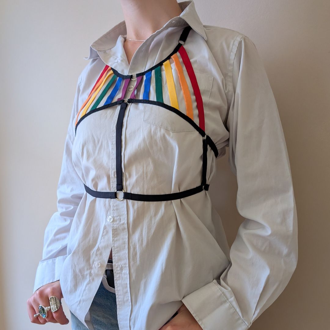 Rainbow Flag Harness