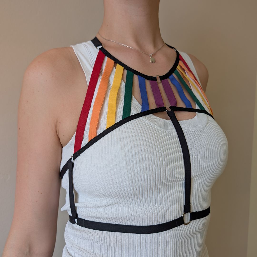 Rainbow Flag Harness