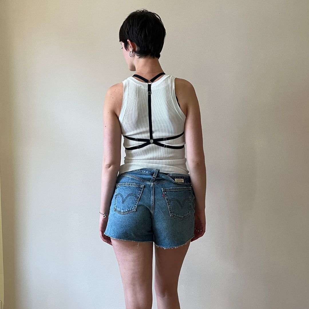 Rainbow Flag Harness